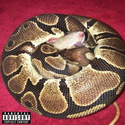 Sinful Curses - Single