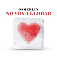 No Voy A Llorar - Single - Osmerlin