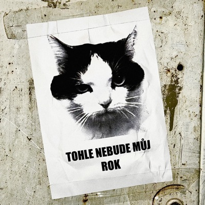 TOHLE NEBUDE MŮJ ROK (outro) - Single