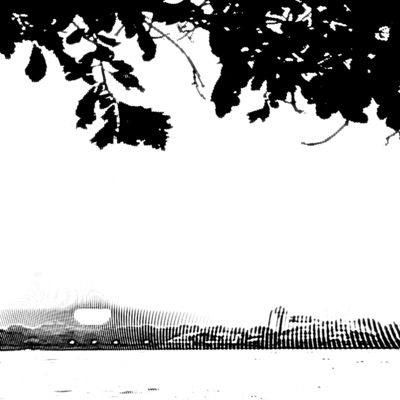 To Whom It May Concern - Single