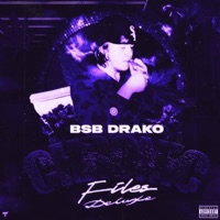 Chronic Files Deluxe - BSB Drako