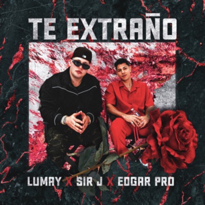 Te Extrano - Single