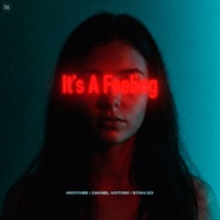 It's A Feeling - Single - Motivee, Daniel Votom & STAN ZO
