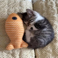 Besides 2 (feat. SavorChrist & Kxndy) - Single - Remedy Productions