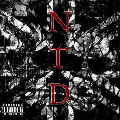 NTD (feat. GarzoKTP) - Single