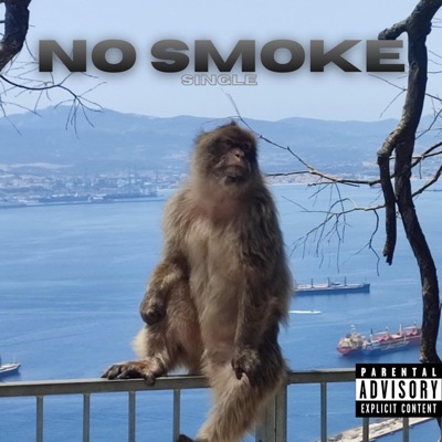 No Smoke (Single Version) - Single