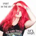 Spirit In The Sky