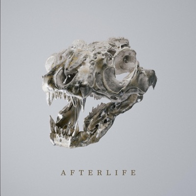 Afterlife - Single