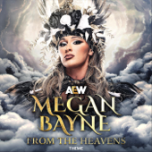 From The Heavens (Megan Bayne Theme) song art