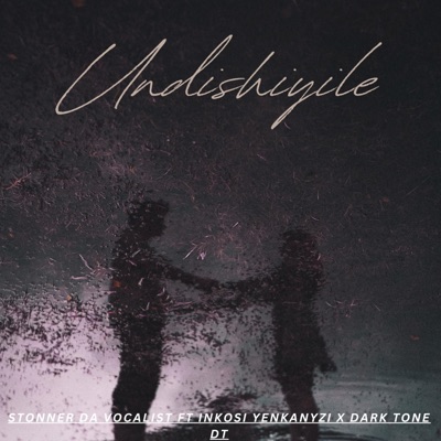 Undishiyile (feat. Stonner da vocalist, Inkosi yenkanyezi & Dark Tone DT) - Single