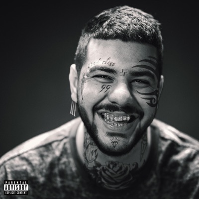 Cutter Freestyle - Single