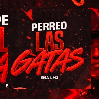 PERREO LAS GATAS - Single