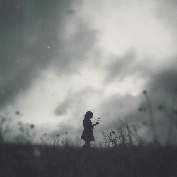 Of Ash & Clover