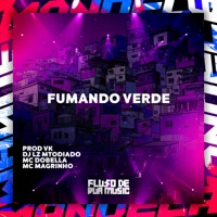 Fumando Verde - Single - DJ LZ Mtodiado, Mc Dobella, MC MAGRIINHO & Prod. VK