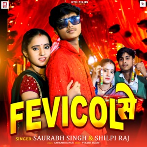 Fevicol Se
