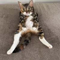 Johnny cage - Single - Armoniixd