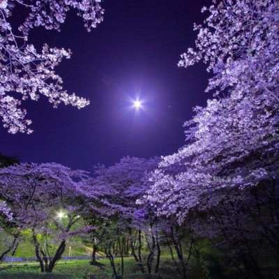 Can i get to know you? - Single