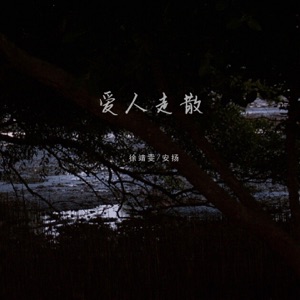 爱人走散 - Single