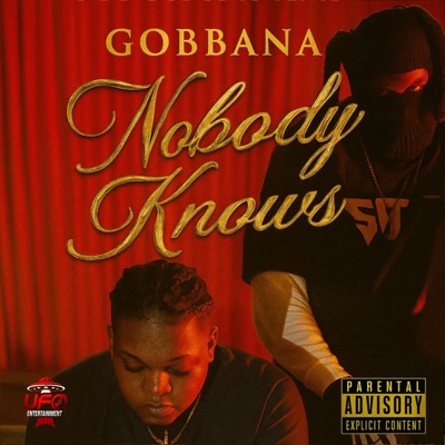 Nobody Knows - Single