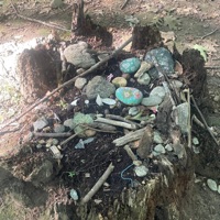 Flying - Single - Treehousecharlie