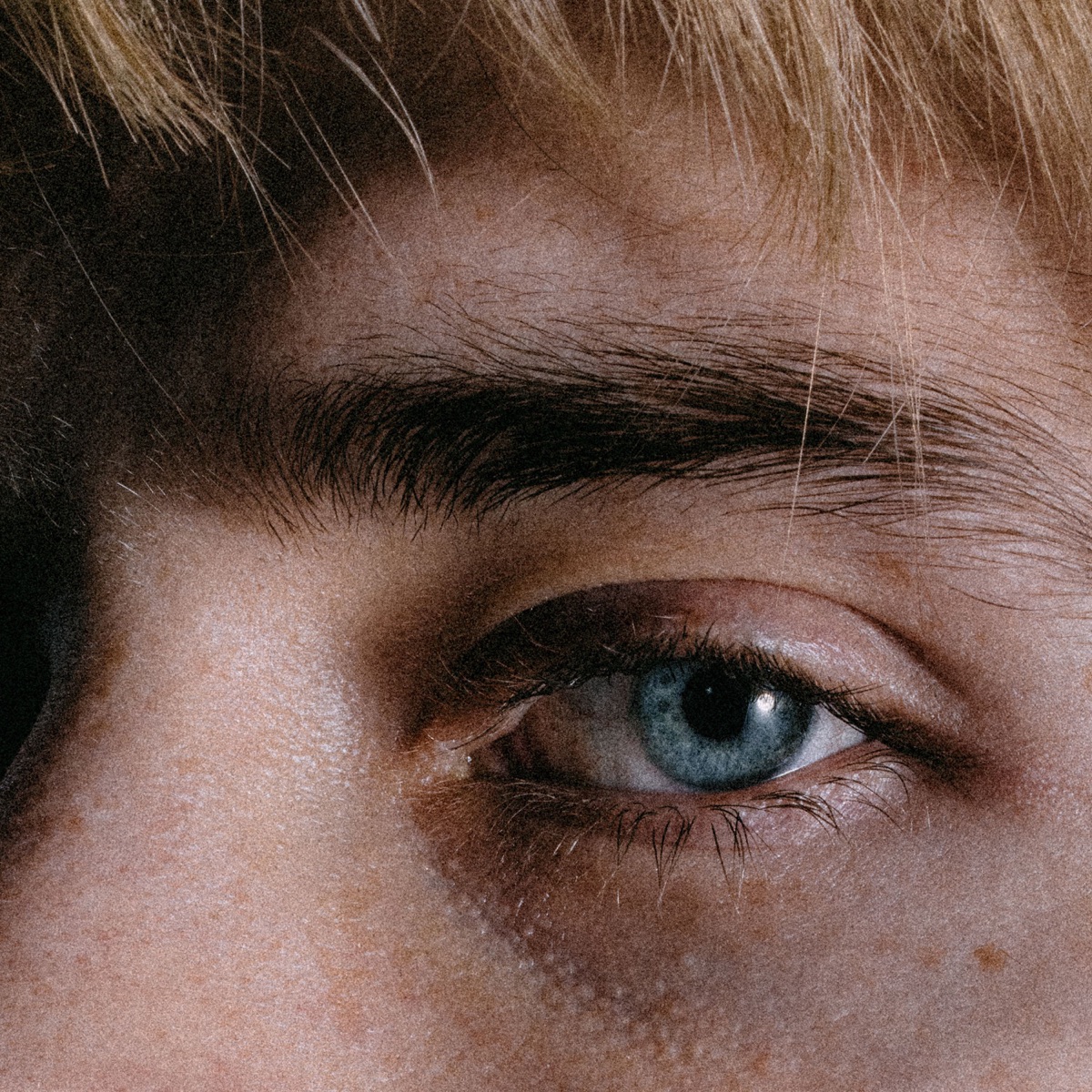 Ivo Martin - PRIVILEG - Single (2025) [iTunes Plus AAC M4A]-新房子