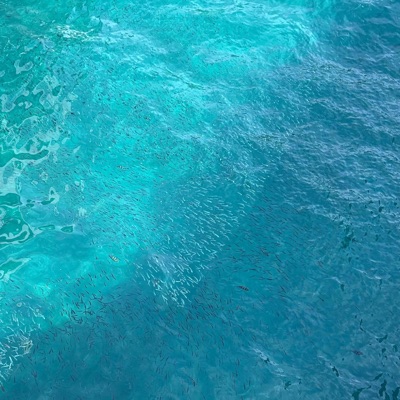 want it all - Single