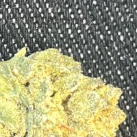 2g dispo freestyle - Single - until it rains