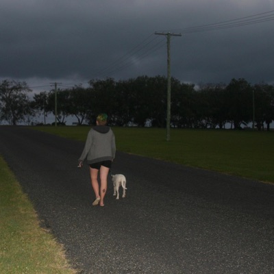 Songs From A Broken Mind II