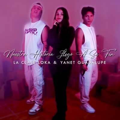 Nuestra Historia Llegó a Su Fin - Single