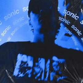 Sonic Wojnarrow