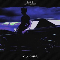 Late Night - Single - Dani B