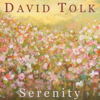 Serenity - David Tolk