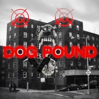 DOG POUND (feat. Anarchy) - Single - BLEAKHULL