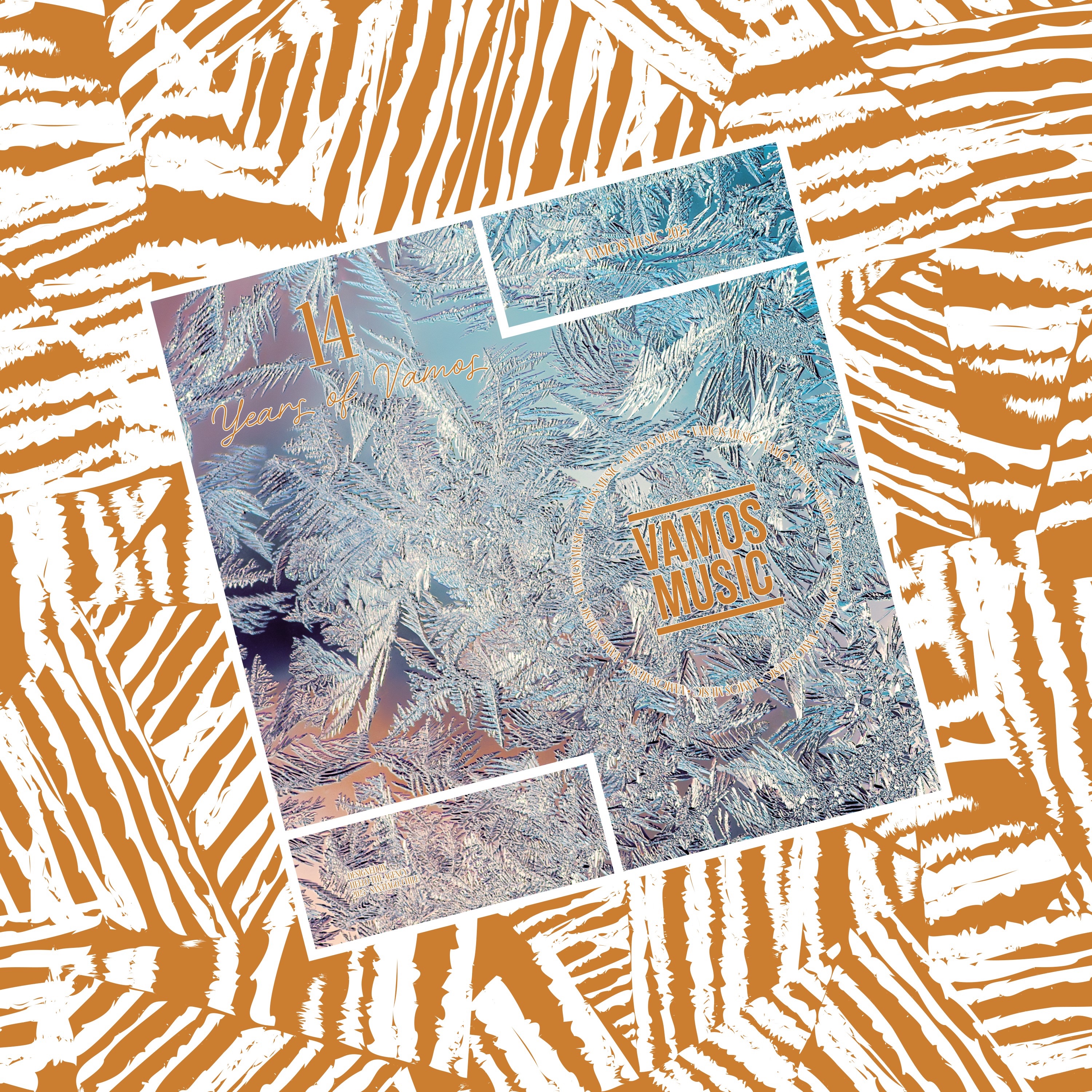 14 Years of Vamos