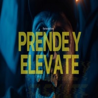 Prende y Elevate (feat. El Santana, Dany SG, Sonar Street & MAURI KNG) - Single - Real Squad, Mayky Rs, Bee Jay & Refer One