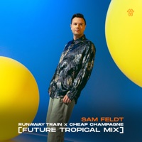 Sam Feldt