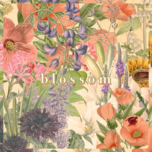 Blossom