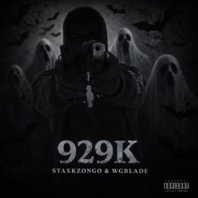 929K (feat. wgblade) - Single