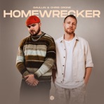 Homewrecker - Single