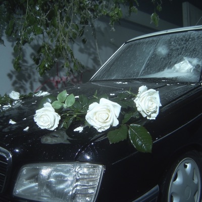 Моя любовь - Single