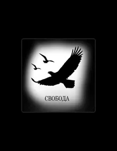 Ouve owlsee, vê vídeos de música, lê a biografia, vê as datas da digressão e muito mais!