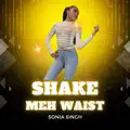 Shake Meh Waist