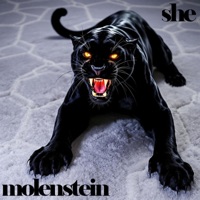 She - Single - molenstein