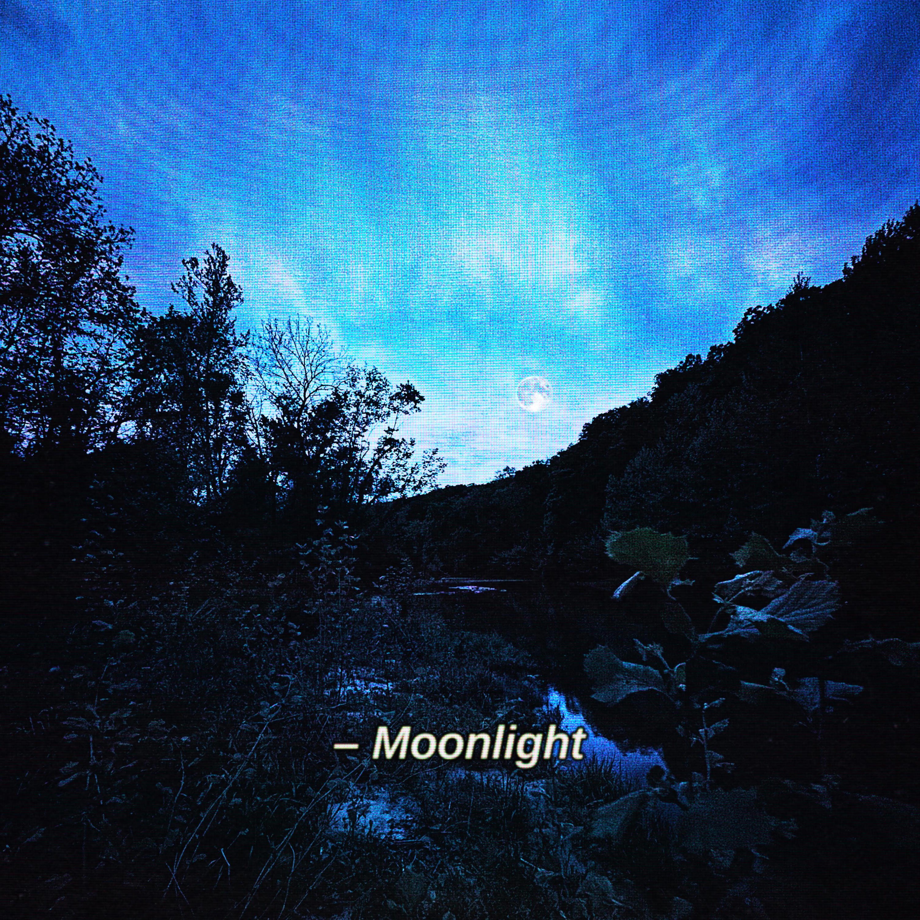 Moonlight - Single