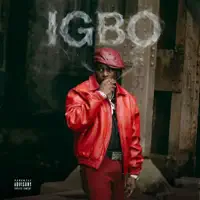 IGBO — Didi B