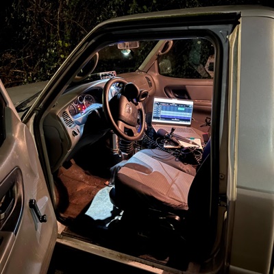 Birds & bees - Single