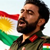 Yekbûna Kurdistanê