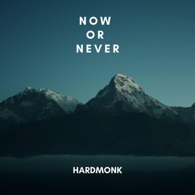Now Or Never - Single