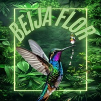 Beija Flor - Single - mc gael, MC ASAPH & MC AVL