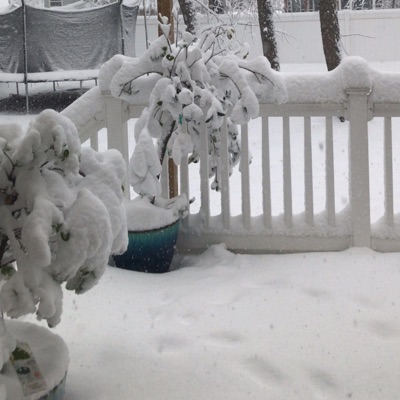 Jersey love - Single